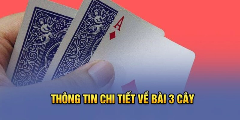 Cách Chơi Bài 3 Cây Chi Tiết Từ A-Z Cho Người Mới Bắt Đầu
